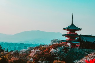 Plan Your Global Vacation with Wizzride – Japan in October & More