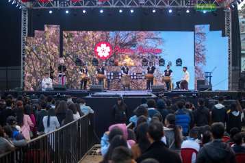 cherry-blossom-festival-shillong