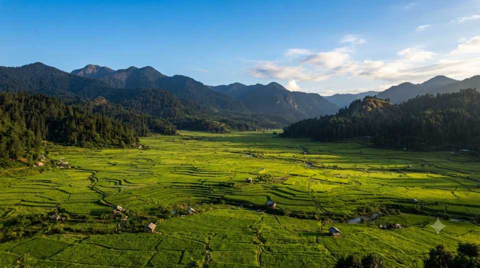 ziro festival 2026 travel guide